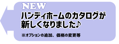 ハンディカタログ2017年画像2